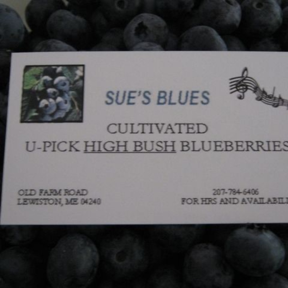 Meet your Posher, Sue